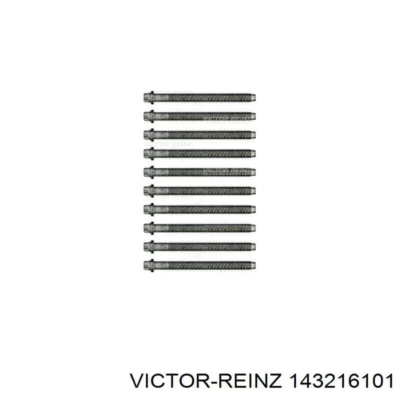Compre 143216101 Victor Reinz Parafuso de cabeça de motor (CBC)