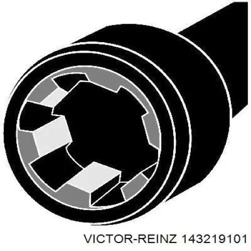 Compre 143219101 Victor Reinz Parafuso de cabeça de motor (CBC)