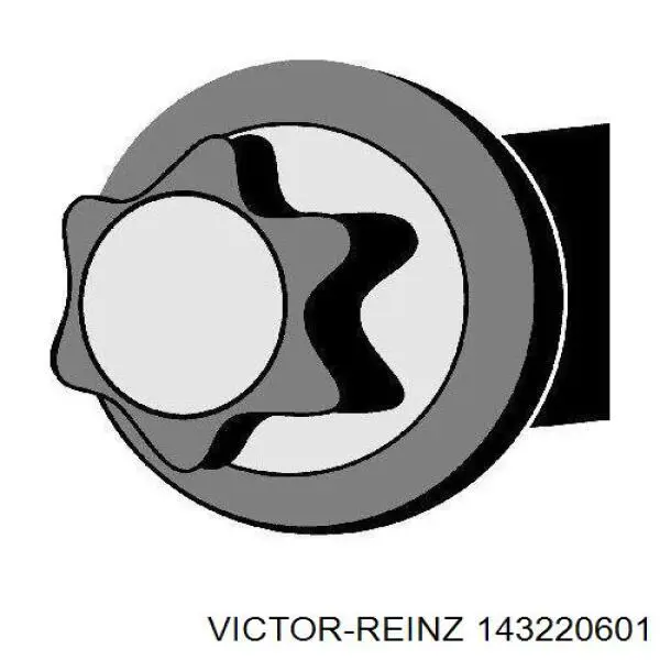 Compre 143220601 Victor Reinz Parafuso de cabeça de motor (CBC)