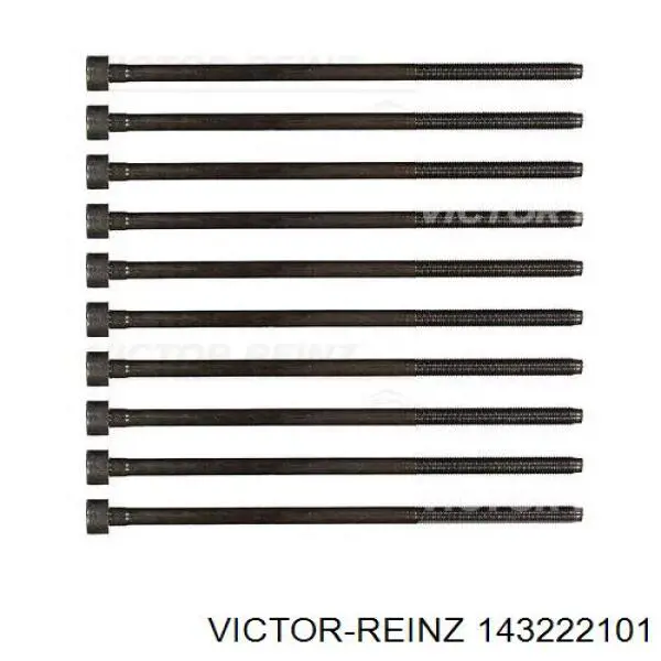 Compre 143222101 Victor Reinz Parafuso de cabeça de motor (CBC)