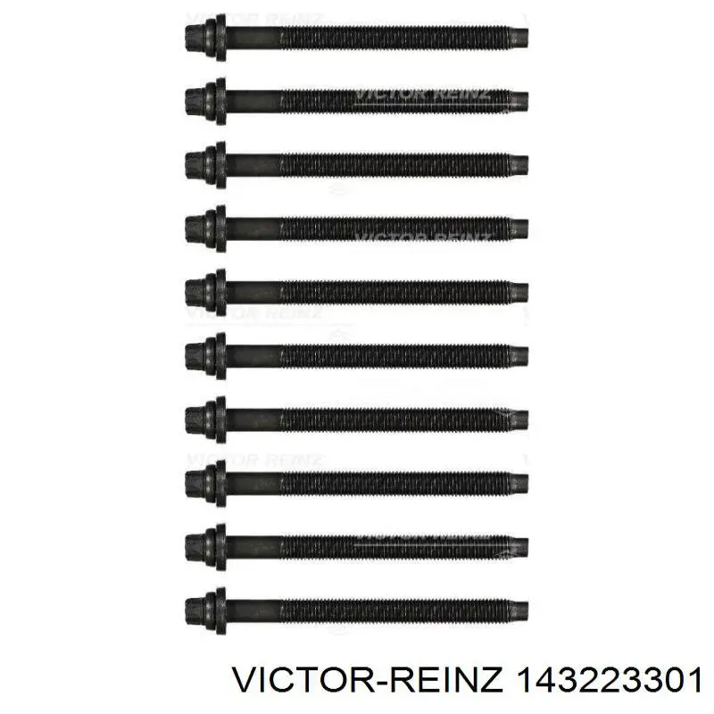 143223301 Victor Reinz Parafuso de cabeça de motor (CBC)