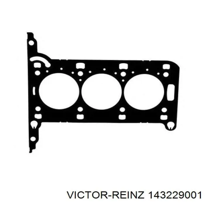 143229001 Victor Reinz Parafuso de cabeça de motor (CBC)
