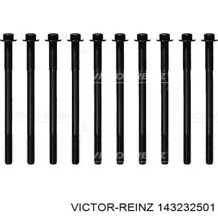 143232501 Victor Reinz Parafuso de cabeça de motor (CBC)