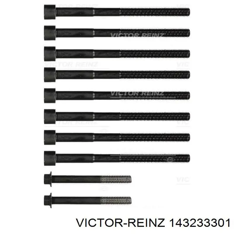 143233301 Victor Reinz Parafuso de cabeça de motor (CBC)