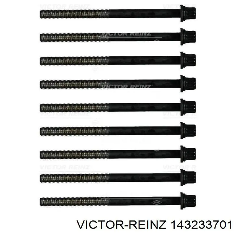 Compre 143233701 Victor Reinz Parafuso de cabeça de motor (CBC)