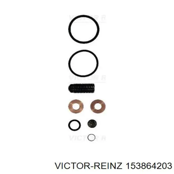 153864203 Victor Reinz Kit de reparação do injetor