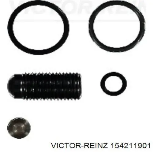 154211901 Victor Reinz Kit de reparação do injetor