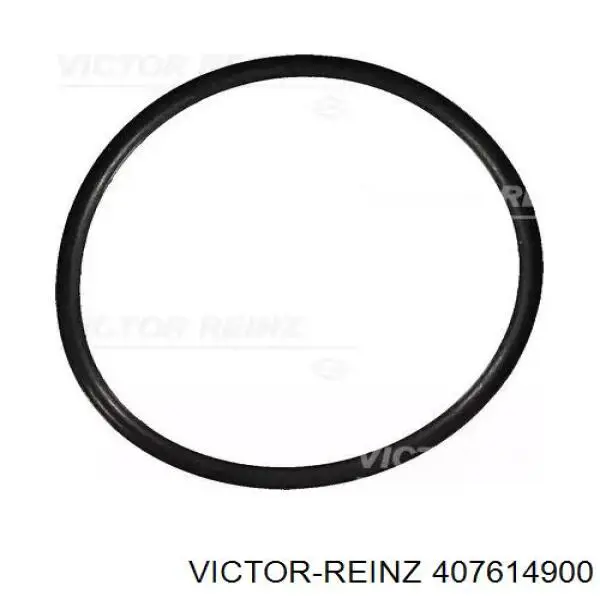 407614900 Victor Reinz Vedante de bomba de vácuo