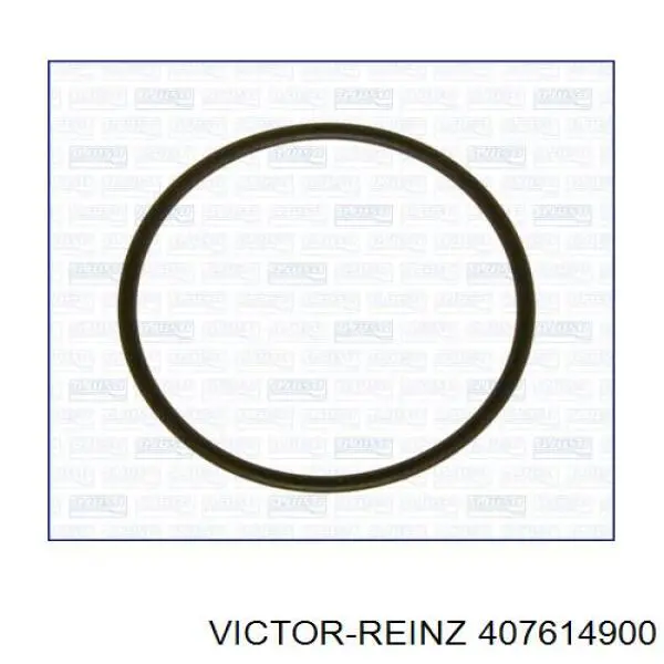 Vedante de bomba de vácuo Victor Reinz 407614900 preço, a partir de 2,36 USD