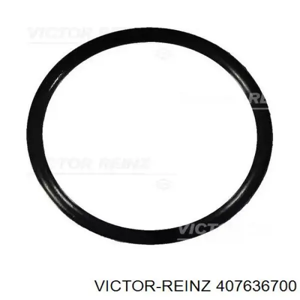 407636700 Victor Reinz Vedante de termostato