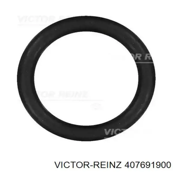 Vedante de tubo coletor de admissão Victor Reinz 407691900 preço, a partir de 1,56 USD