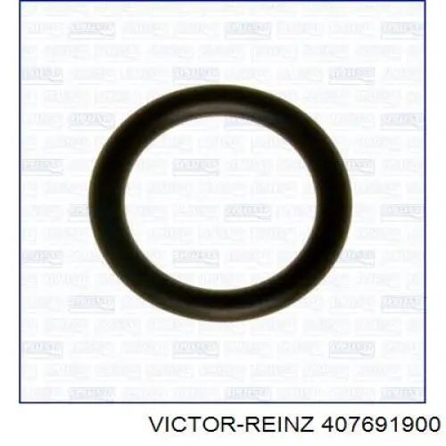 Compre 407691900 Victor Reinz Vedante de tubo coletor de admissão