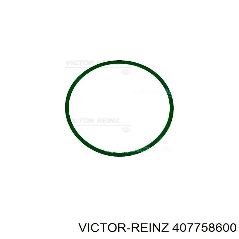 Compre 407758600 Victor Reinz Vedante de tubo coletor de admissão