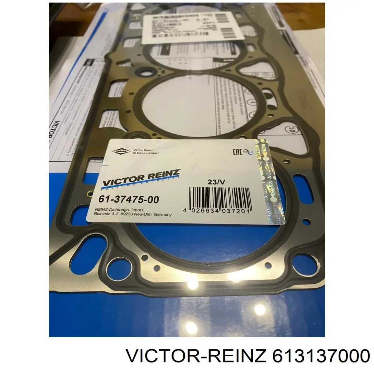 Compre 613137000 Victor Reinz Vedante direito de cabeça de motor (CBC)