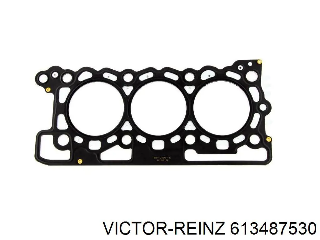 613487530 Victor Reinz Vedante de cabeça de motor (CBC)