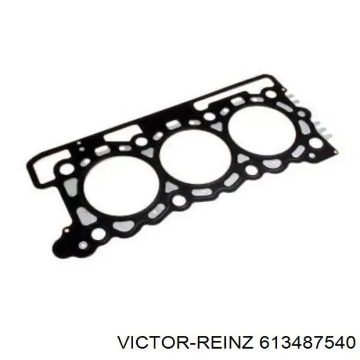 613487540 Victor Reinz Vedante de cabeça de motor (CBC)
