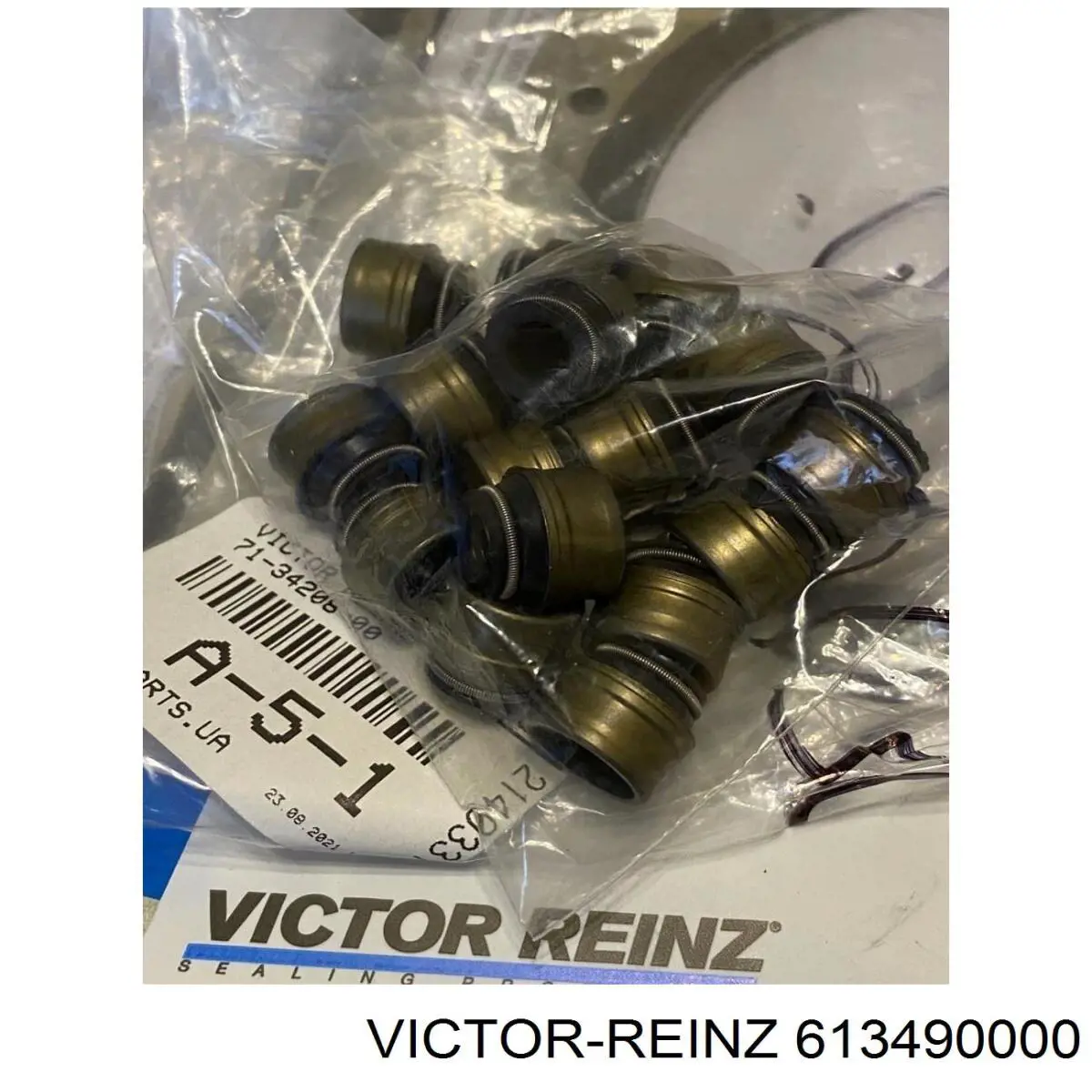 Compre 613490000 Victor Reinz Vedante de cabeça de motor (CBC)