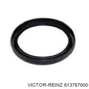 Compre 613757500 Victor Reinz Vedante de cabeça de motor (CBC)