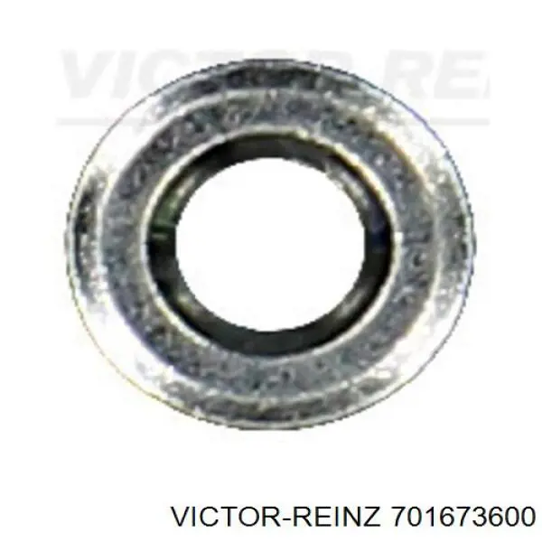 701673600 Victor Reinz Anel (arruela) do injetor de ajuste