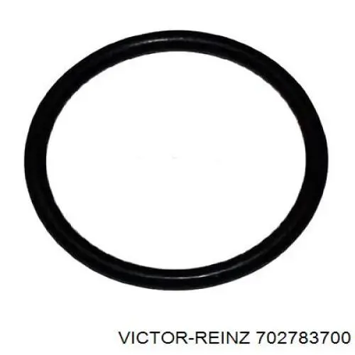 702783700 Victor Reinz Vedante de termostato