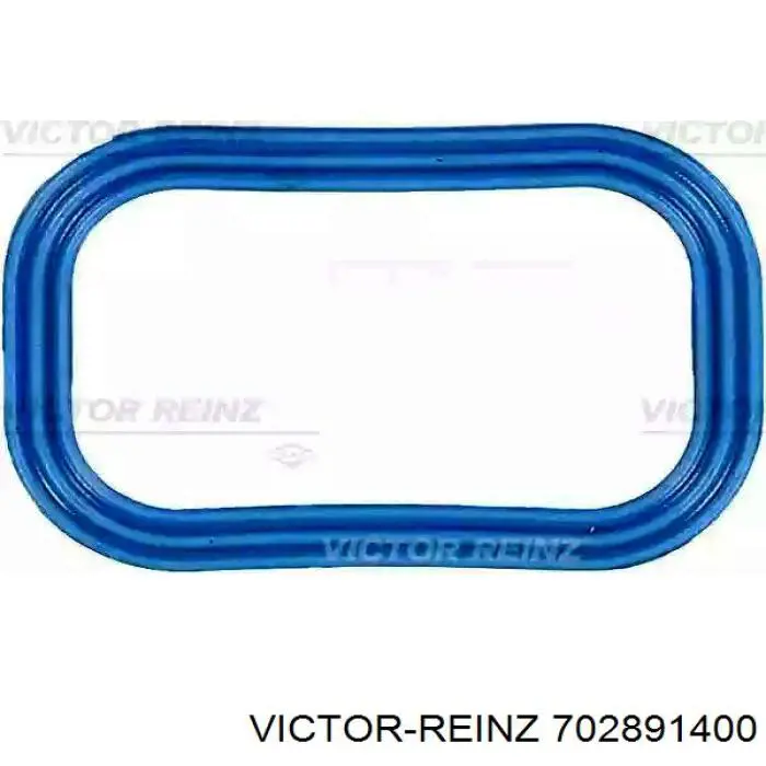 Compre 702891400 Victor Reinz Vedante da válvula de borboleta