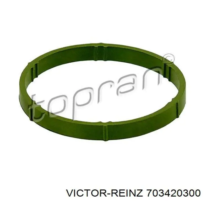 Vedante de tubo coletor de admissão 703420300 Victor Reinz