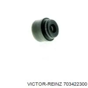 Compre 703422300 Victor Reinz Bucim de válvula (coletor de óleo), admissão/escape
