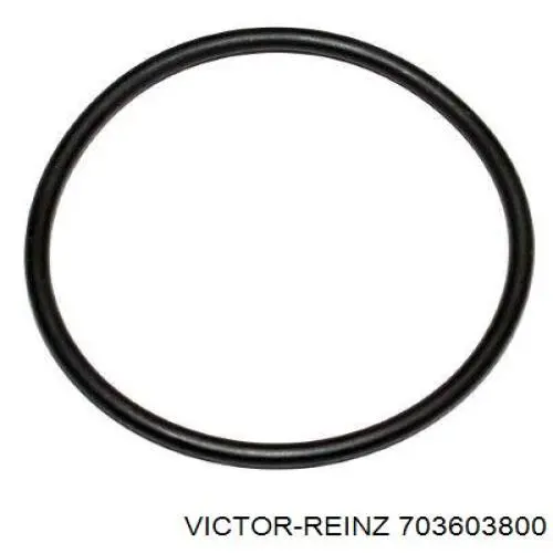 Compre 703603800 Victor Reinz Vedante de bomba de água