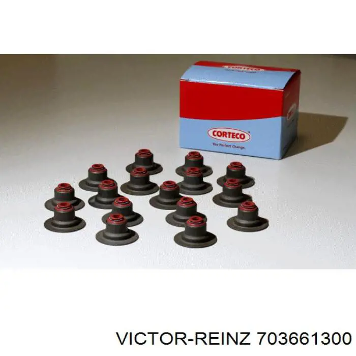 703661300 Victor Reinz Bucim de válvula (coletor de óleo), admissão/escape