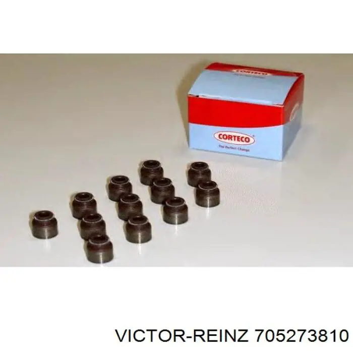 705273810 Victor Reinz Bucim de válvula (coletor de óleo), admissão/escape