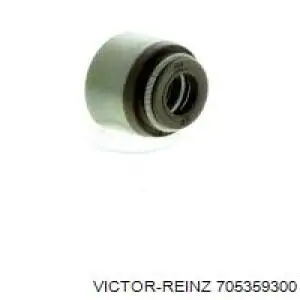 705359300 Victor Reinz Vedação de válvula (de óleo) de admissão