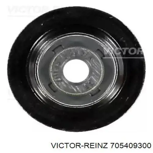 705409300 Victor Reinz Vedação de válvula (de óleo) de escape