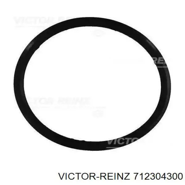 Compre 712304300 Victor Reinz Vedante de tampa de válvulas de motor