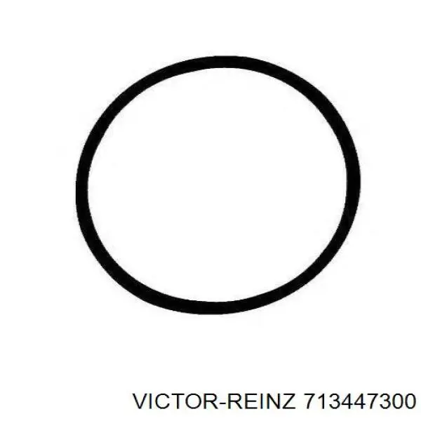Compre 713447300 Victor Reinz Vedante de tubo coletor de admissão