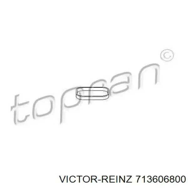 Compre 713606800 Victor Reinz Vedante de tubo coletor de admissão