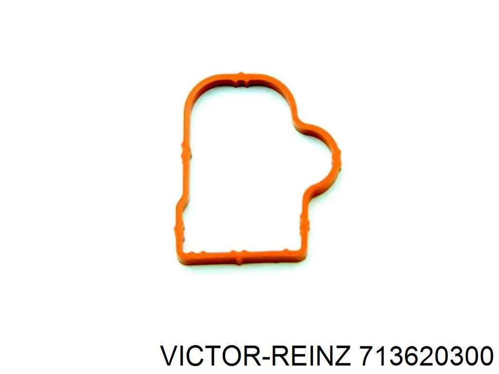 Compre 713620300 Victor Reinz Vedante de tubo coletor de admissão