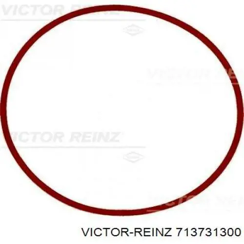 Compre 713731300 Victor Reinz Vedante de panela de cárter do motor