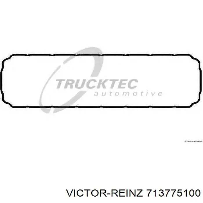 713775100 Victor Reinz Vedante de panela de cárter do motor