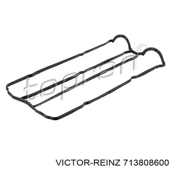 Compre 713808600 Victor Reinz Vedante de tampa de válvulas de motor