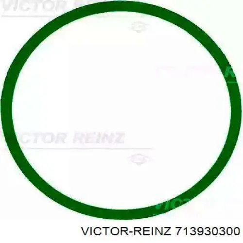 Vedante de tubo coletor de admissão Victor Reinz 713930300 preço, a partir de 4,28 USD