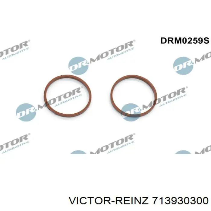 Compre 713930300 Victor Reinz Vedante de tubo coletor de admissão