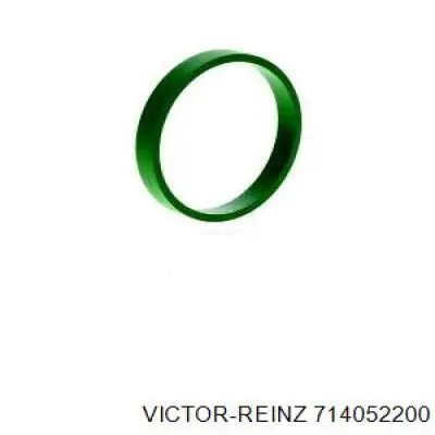 714052200 Victor Reinz Vedante de tubo coletor de admissão