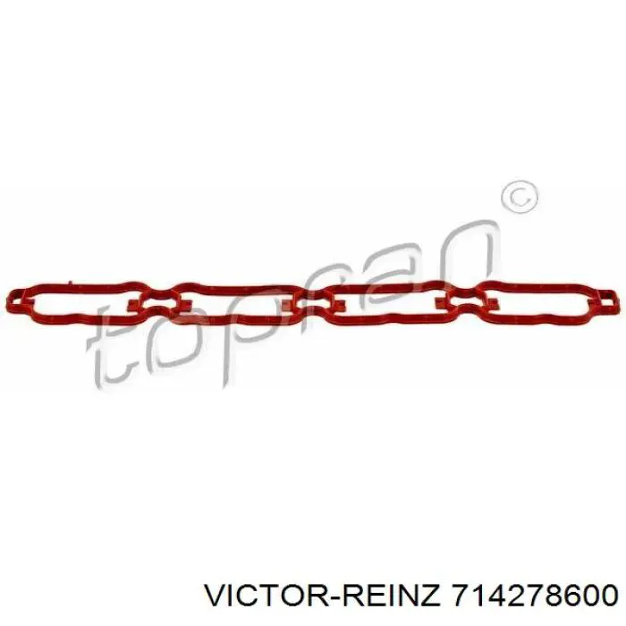714278600 Victor Reinz Vedante de tubo coletor de admissão