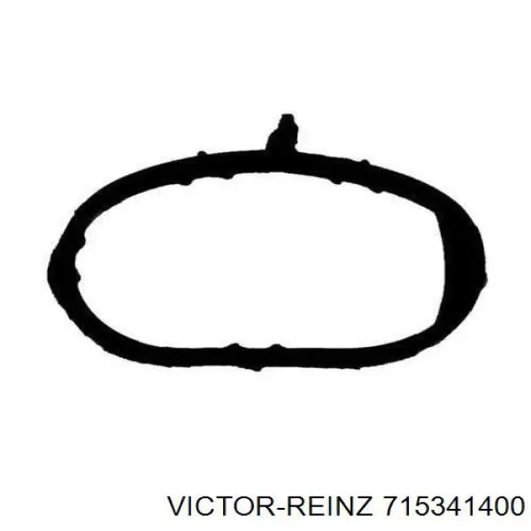 715341400 Victor Reinz Vedante de tubo coletor de admissão