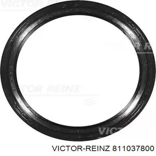 811037800 Victor Reinz Vedação dianteira de cambota de motor