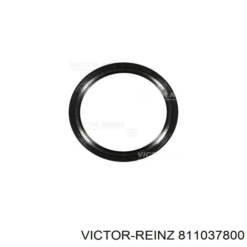 Compre 811037800 Victor Reinz Vedação dianteira de cambota de motor