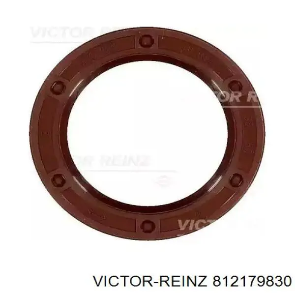 812179830 Victor Reinz Vedação da árvore distribuidora de motor