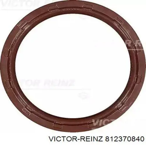 812370840 Victor Reinz Vedação traseira de cambota de motor