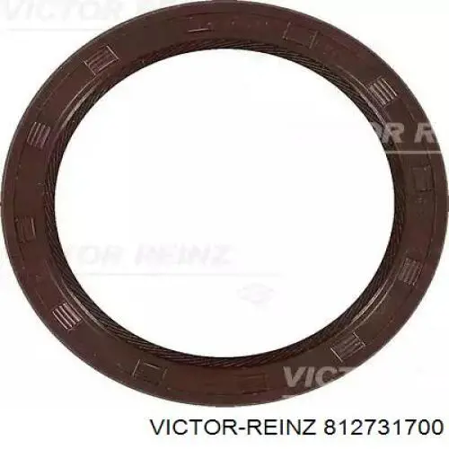 812731700 Victor Reinz Vedação traseira da árvore distribuidora de motor