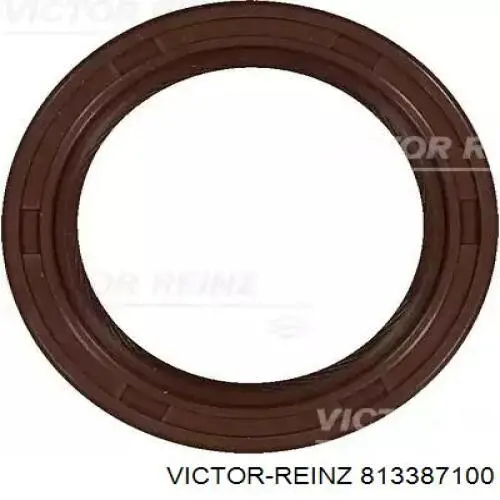 813387100 Victor Reinz Vedação da árvore distribuidora de motor